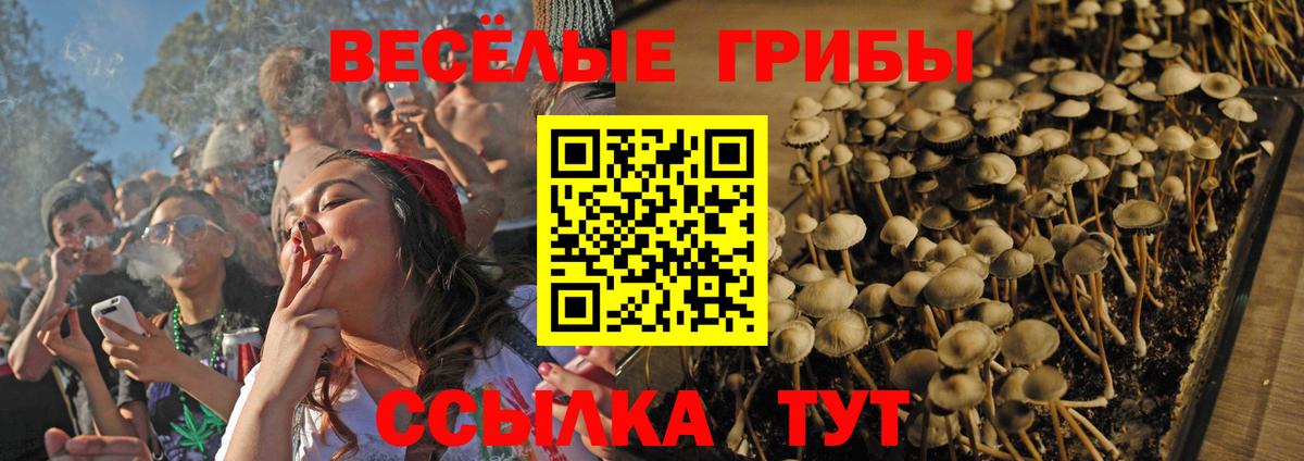 Галлюциногенные грибы прущие грибы Щёкино