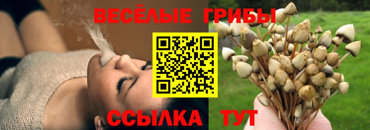 Галлюциногенные грибы Psilocybine cubensis  Вход с VPN  Щёкино 